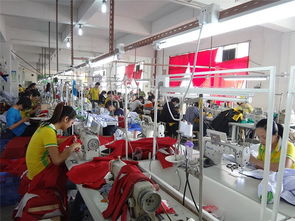 订做卫衣加工厂 香港加工厂 大型服装厂